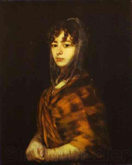 Francisco Jose de Goya Senora Sabasa Garcaa. Germany oil painting art